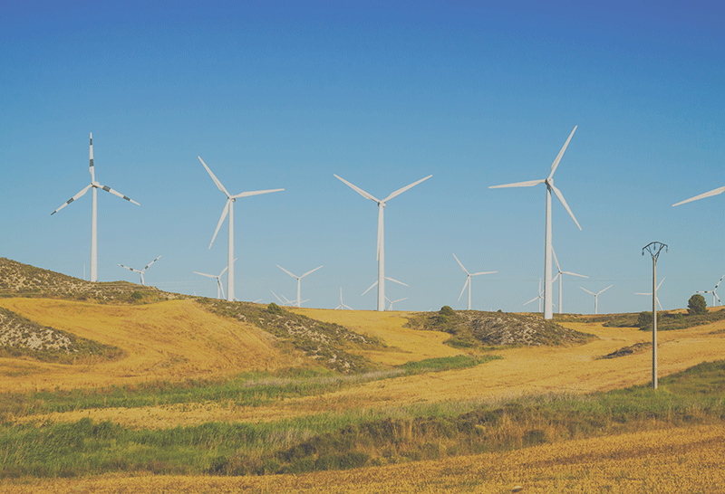 climate-energy-biodiversity-regional-approach
